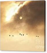 Geese Silhouetted Canvas Print