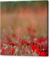 Gentle Breezes Canvas Print