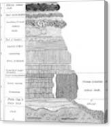 Georges Cuvier, Stratigraphic Profile Canvas Print