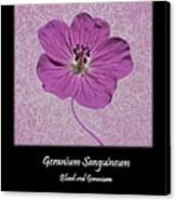 Geranium Purple Poster 2 Canvas Print