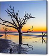 Ghost Trees Of Boneyard Beach 02 Canvas Print