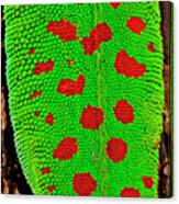 Giant Day Gecko, Phelsuma Canvas Print