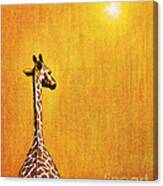 Giraffe Looking Back Canvas Print