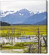 Girdwood Sunken Trees 2 Canvas Print