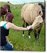 Girl Petting Horse Canvas Print
