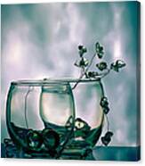 Glass Duo Canvas Print