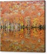 Glowing Autumn Canvas Print