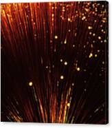 Glowing Fibre Optic Cables Canvas Print