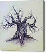 Gnarled Tree Canvas Print