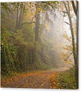 Go Ahead A Mystery Awaits Canvas Print