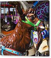 Goat Carrousel Ride Canvas Print