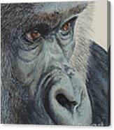 Going Ape...sold Canvas Print