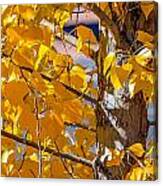 Gold Tree Canvas Print