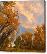 Golden Chatfield Canvas Print