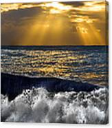 Golden Eye Of The Morning Canvas Print