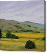 Golden Field Ii Canvas Print