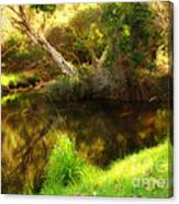 Golden Pond Canvas Print