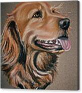 Golden Retriever Canvas Print