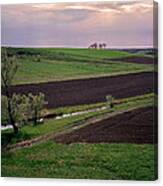 Good Earth. Serbia Canvas Print