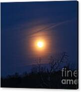 Good Night Moon Canvas Print