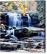 Goose Creek Falls 2 Canvas Print