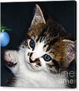 Gorgeous Christmas Kitten Canvas Print