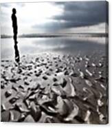 Gormley' Another Place Crosby Canvas Print