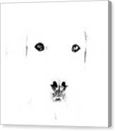 Dog Face Canvas Print