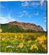 Gothic Meadow Canvas Print