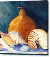 Gourd And Shells Canvas Print