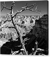 Grand Canyon Bw Canvas Print