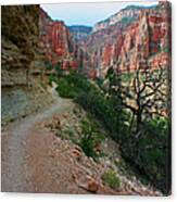 Grand Canyon Or Bust Canvas Print