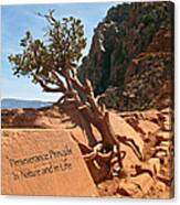Grand Canyon Survivor Canvas Print