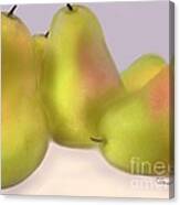 Grand Pears Canvas Print