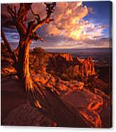 Grand View Point Sunrise Canvas Print