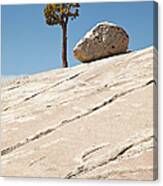 Granite Rock And Tree At Horizon Canvas Print