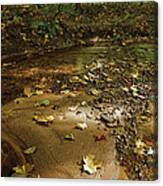 Gravel Bed Canvas Print