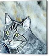 Gray Tabby Cat Canvas Print
