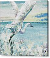 Great Blue Egret I Canvas Print
