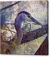 Great Blue Heron Looking Things Over Canvas Print