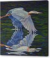Great Blue Reflections Canvas Print