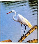 Great Egret Fishing Oil Painting Canvas Print
