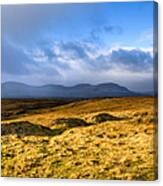 Great Grass Sea - Isle Of Skye Landscape Canvas Print