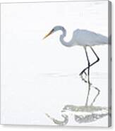 Great White Egret Reflection Canvas Print