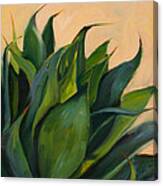 Green Agave Right Canvas Print