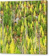 Green And Yellow Trees Canvas Print