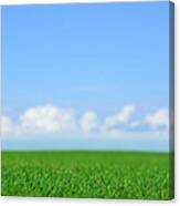 Green Field And Blue Sky Canvas Print
