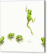 Green Flog Jumping Canvas Print