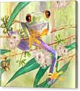Green Tree Frog Canvas Print
