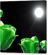 Green Tulips In The Moonlight Canvas Print